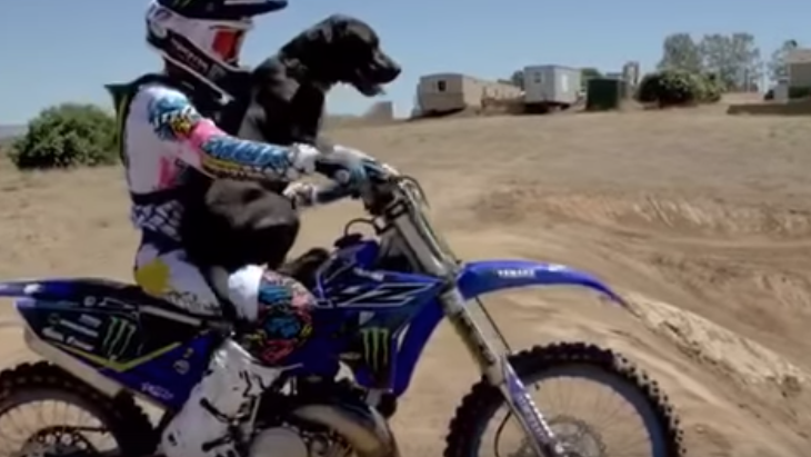 Jarryd McNeil 